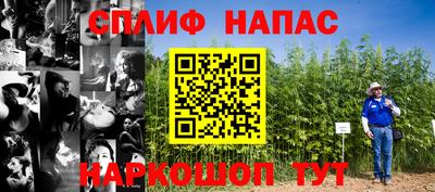 спиды Новокубанск