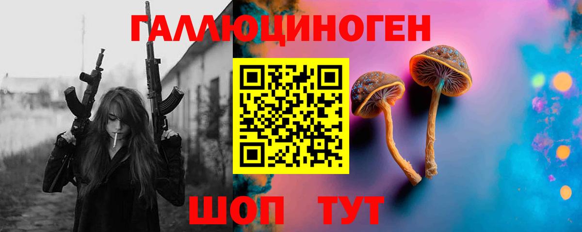 Псилоцибиновые грибы Psilocybe Юрга